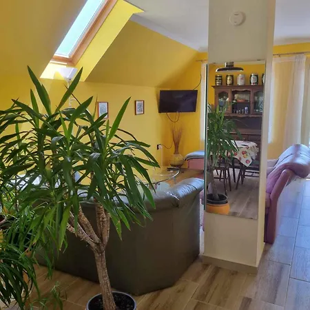 Apartment 7